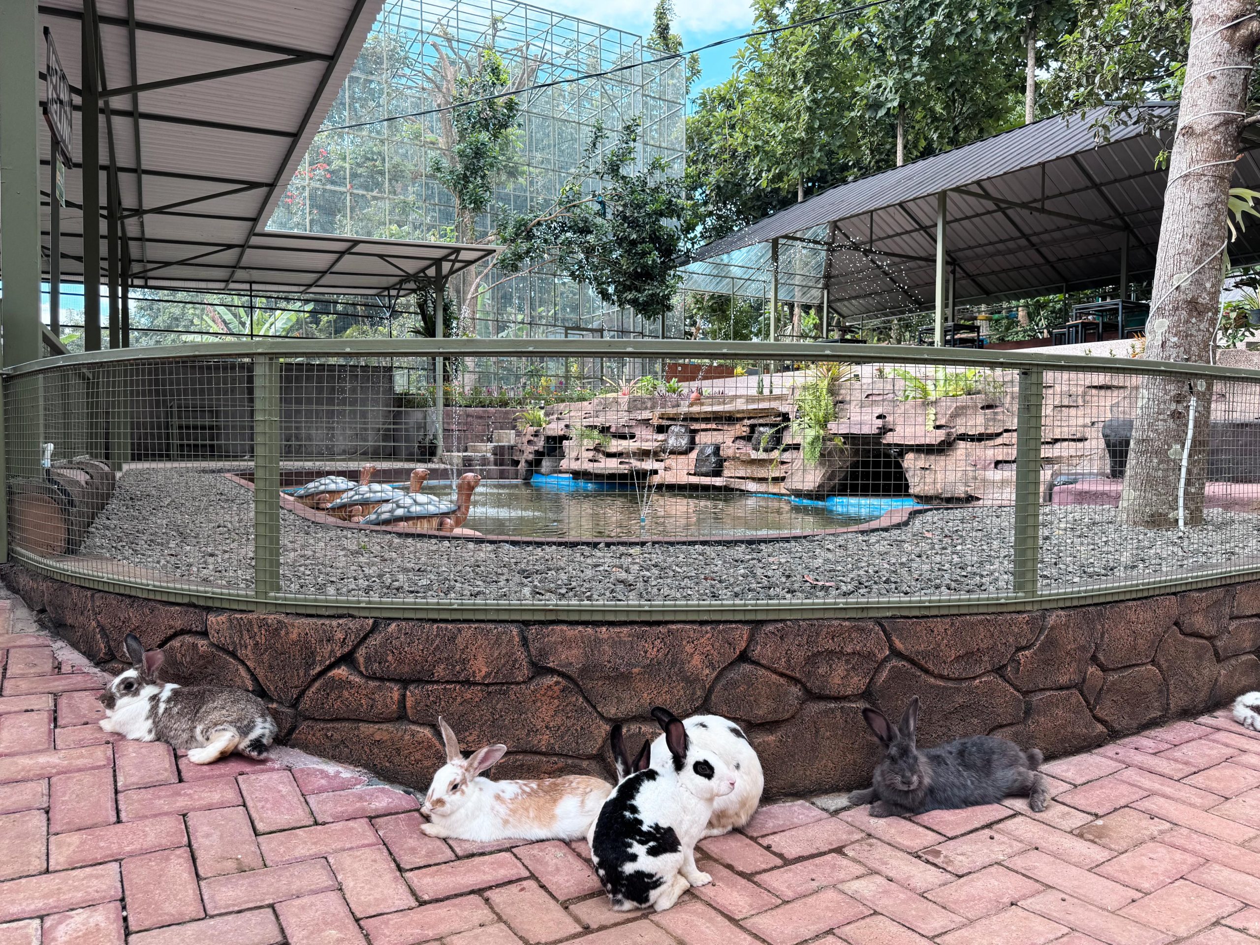Rabbit Garden and Playground - CIGWA Indonesia